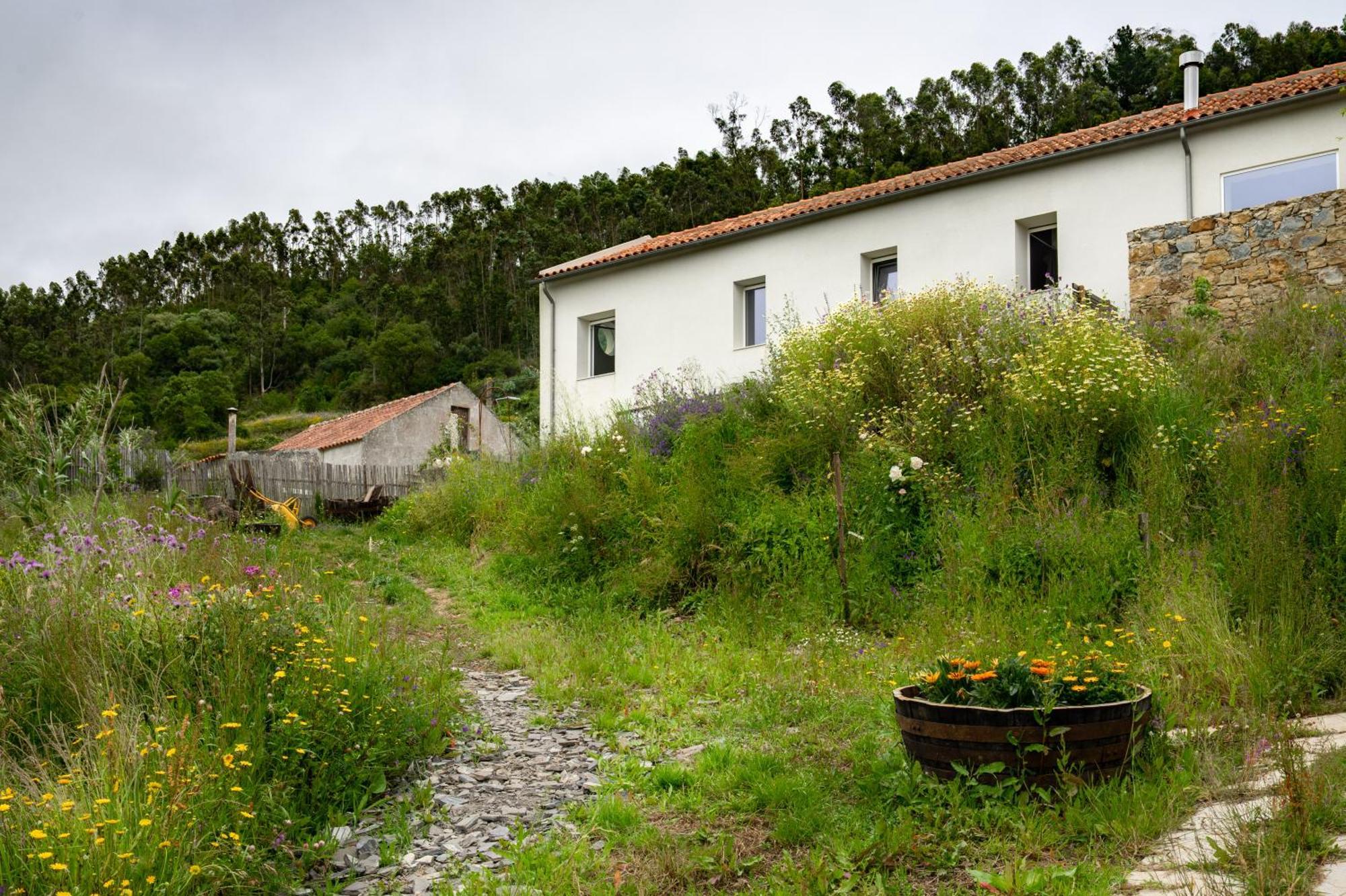 Arty Studio In A Farm House Villa Sobral da Abelheira Buitenkant foto