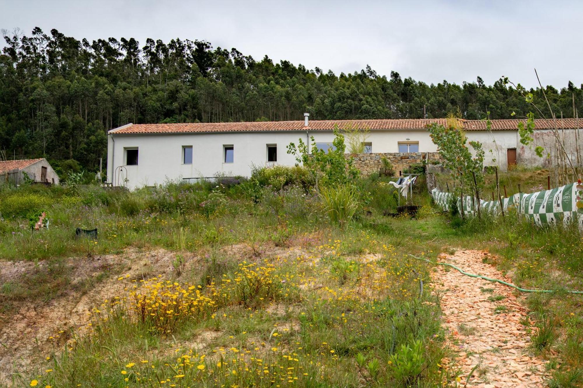 Arty Studio In A Farm House Villa Sobral da Abelheira Buitenkant foto